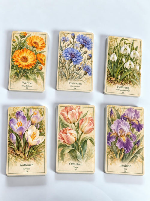 Botanisches Orakel – 36 Karten mit Handbuch – Produktansicht 2