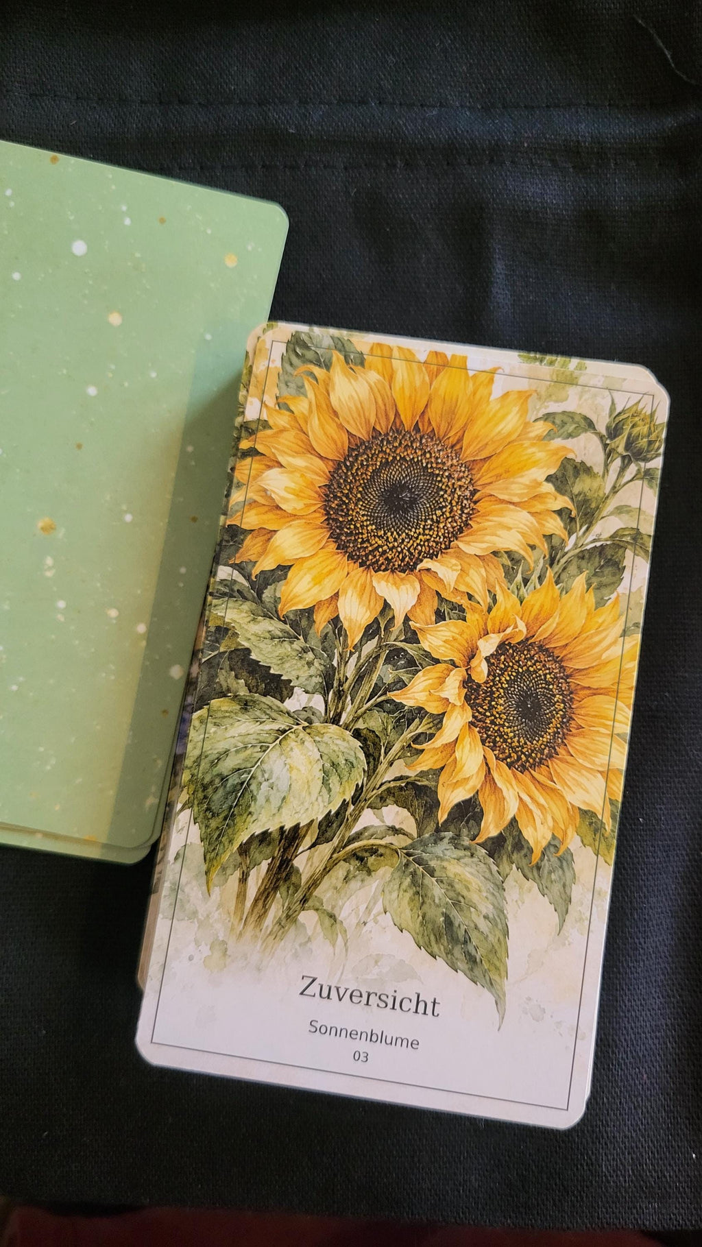 Botanisches Orakel – 36 Karten mit Handbuch – Produktansicht 3