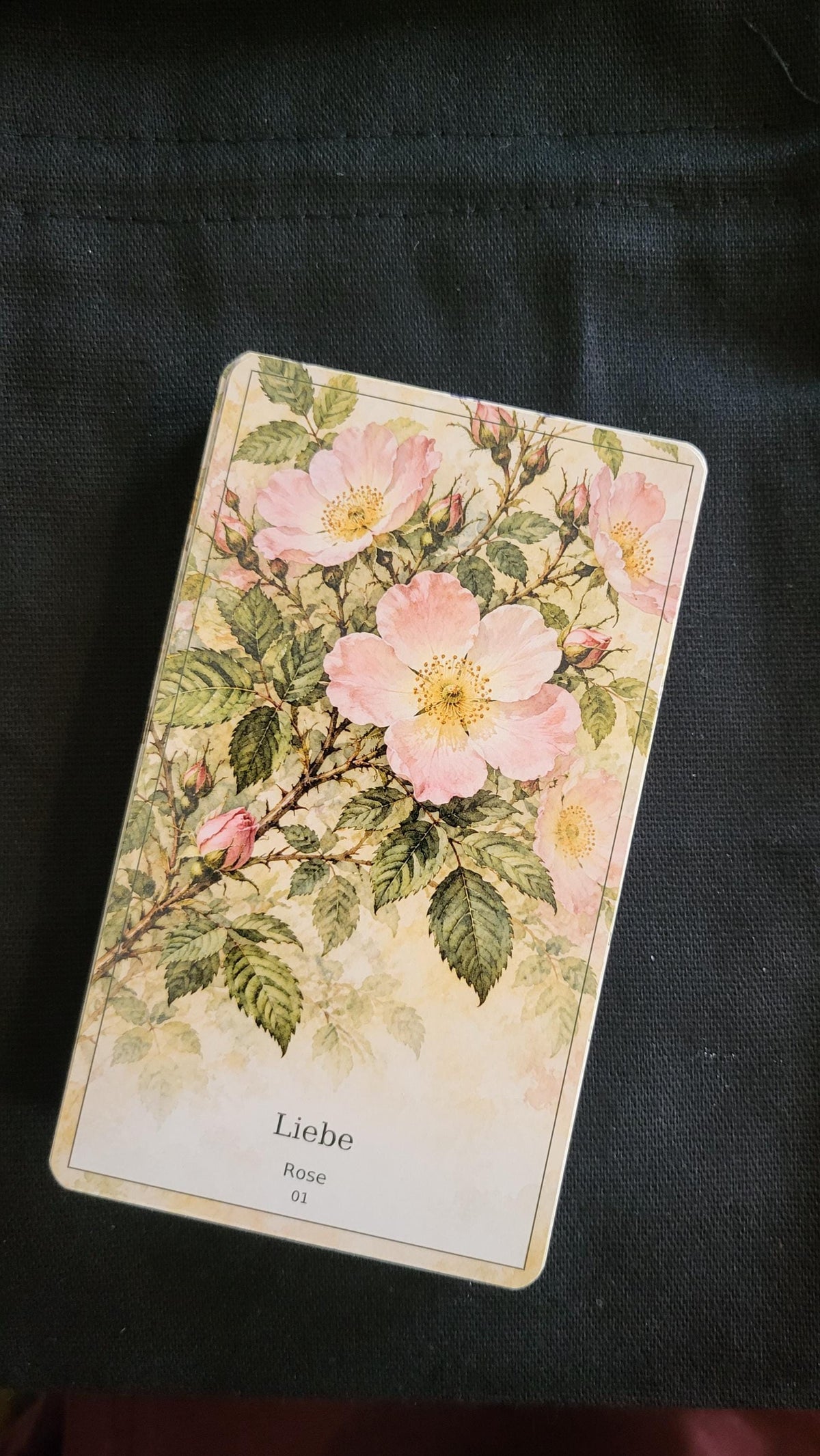 Botanisches Orakel – 36 Karten mit Handbuch – Produktansicht 4