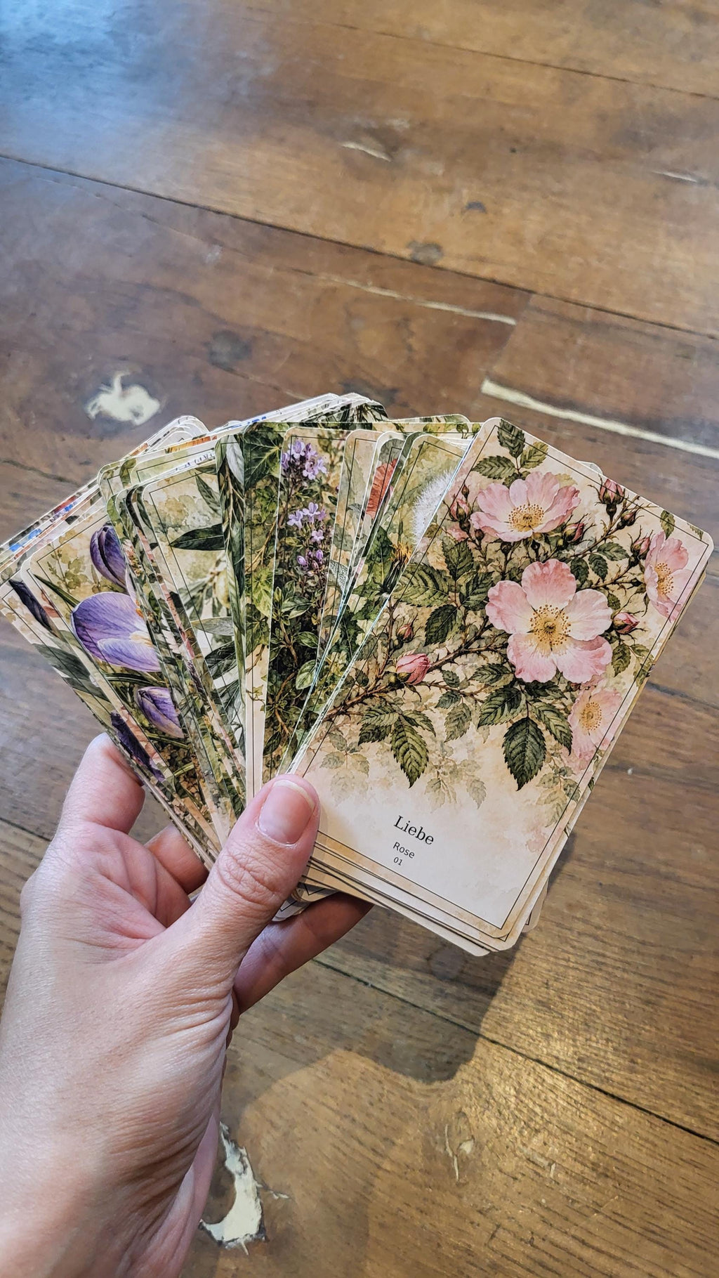 Botanisches Orakel – 36 Karten mit Handbuch – Produktansicht 5