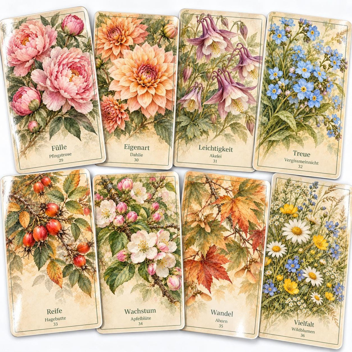 Botanisches Orakel – 36 Karten mit Handbuch – Produktansicht 8