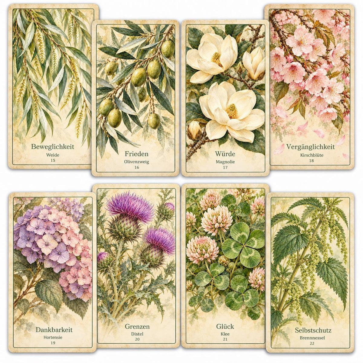 Botanisches Orakel – 36 Karten mit Handbuch – Produktansicht 9