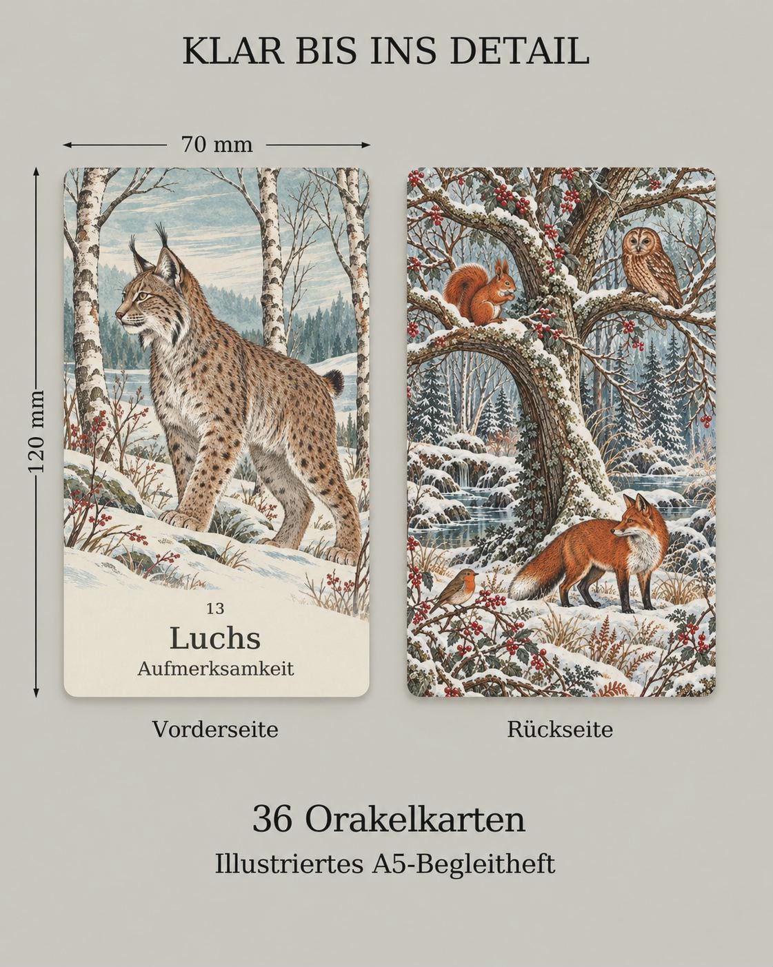 Wintertiere – 36 Orakelkarten mit Begleitheft – Produktansicht 3