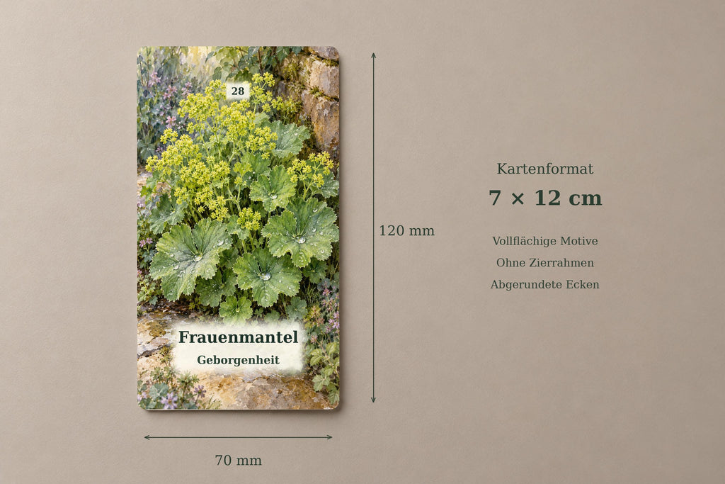 Kräuterflüstern – 36 botanische Orakelkarten – Produktansicht 5