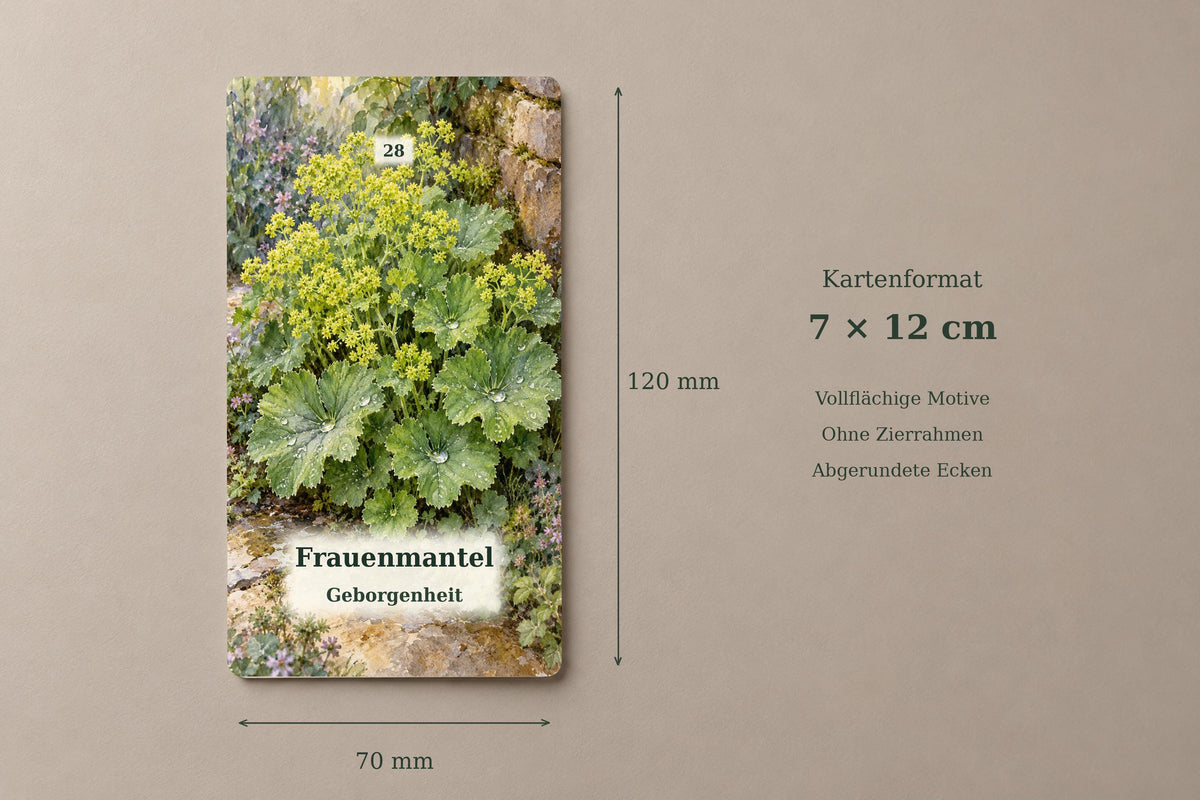 Kräuterflüstern – 36 botanische Orakelkarten – Produktansicht 5
